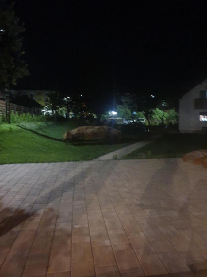 Pensiunea Transilvania Covasna Exteriér fotografie